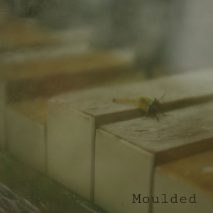 Moulded - Moulded