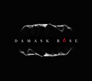 Damask Rose - Damask Rose