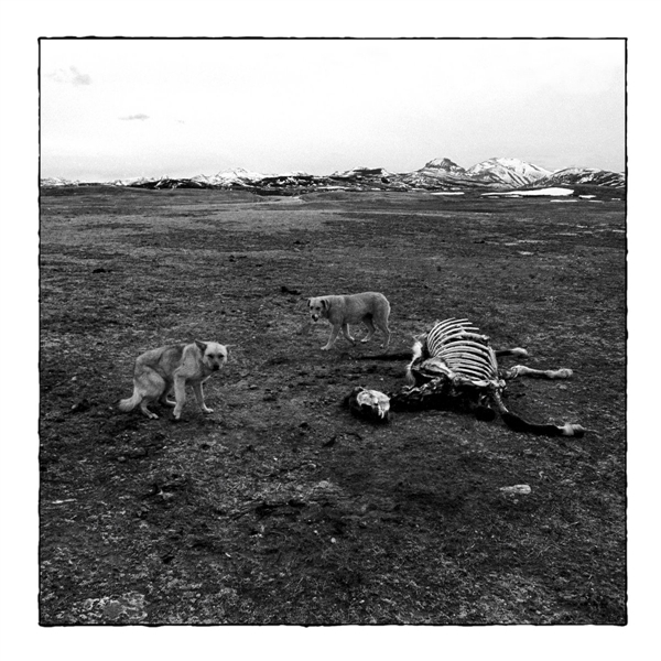 Bronson Arm - Bronson Arm